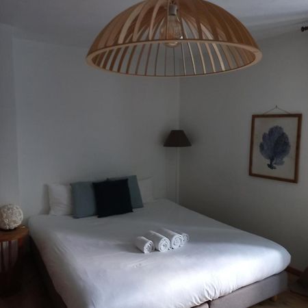 Le Poisson Ivre Bed and Breakfast Ντινάν Εξωτερικό φωτογραφία