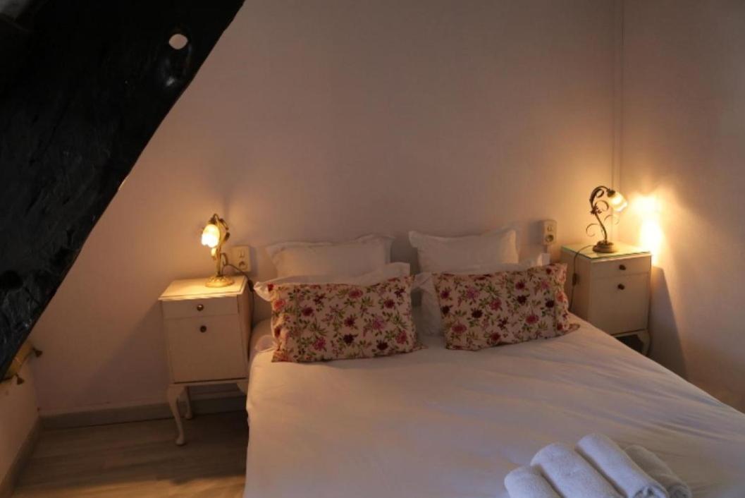 Le Poisson Ivre Bed and Breakfast Ντινάν Εξωτερικό φωτογραφία